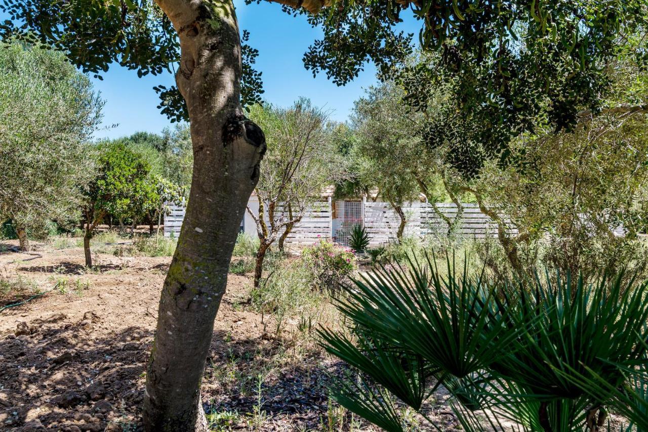 Casita-Estudio El Castano El Palmar  Exteriör bild